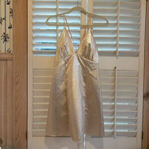 Champagne cocktail mini dress